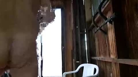 syevecrl online show from October 2025 12:47:01 AM