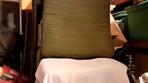 syevecrl online show from February 2026 05:09:02 PM