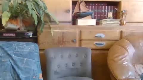 Snapshot of sympa_trique chatting on October 2025 10:35:01 AM sympa_trique online show from October 2025 10:35:01 AM