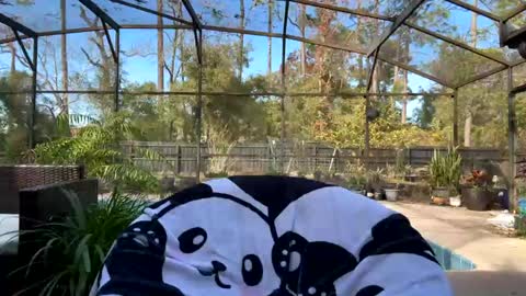 Jennah online show from February 2025 08:05:02 PM