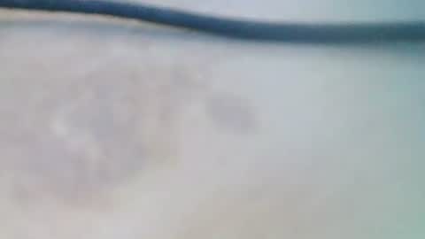 syrius57920 online show from December 2024 08:22:02 AM