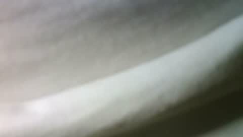 syrius57920 online show from February 2025 05:46:02 PM