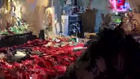 tailorfitted online show from October 2025 10:38:01 AM