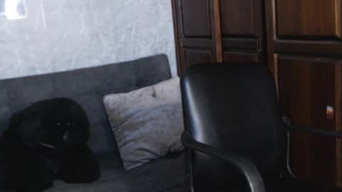 Tairon Tucke online show from December 2024 01:48:02 AM