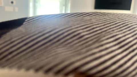 Snapshot of talk2me818 chatting on January 2025 03:08:01 PM talk2me818 online show from January 2025 03:08:01 PM