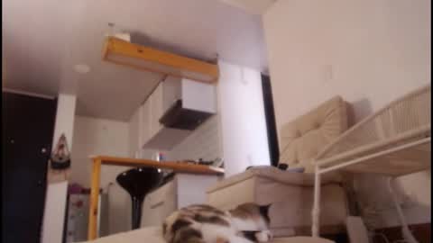 Tamara online show from March 2026 08:15:01 PM