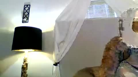 Snapshot of tammygold chatting on June 2026 07:23:01 PM Tammygold online show from June 2026 07:23:01 PM