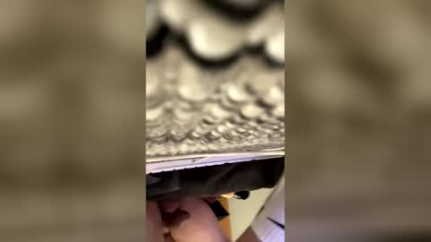 tampa0boner0donor online show from January 2026 05:22:02 AM