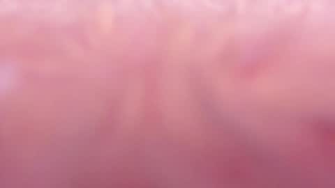 Tamy ian online show from January 2025 10:42:01 PM