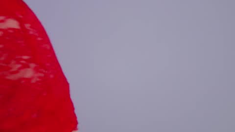 Tania Amore online show from November 2025 06:52:02 PM