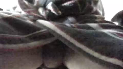 Snapshot of tap_b chatting on February 2025 07:48:01 AM Patrick online show from February 2025 07:48:01 AM