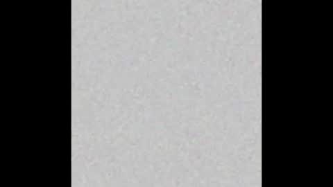 Snapshot of tasteflavored_femboy chatting on February 2025 10:15:02 AM Taste online show from February 2025 10:15:02 AM