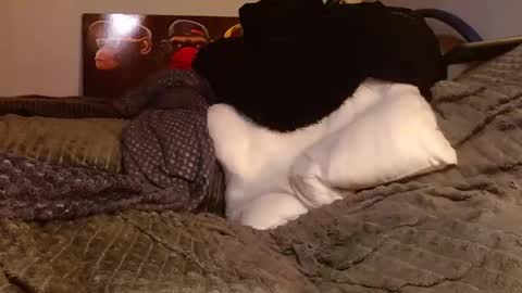 Snapshot of tattooman777 chatting on March 2026 05:45:01 PM Jean pool online show from March 2026 05:45:01 PM