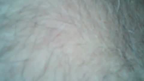 tattzsexy online show from December 2025 10:28:02 PM