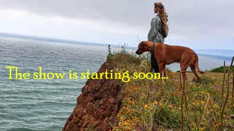 Snapshot of tatum__kahlo chatting on March 2026 02:28:02 AM TATUM ALL MY LINKS online show from March 2026 02:28:02 AM