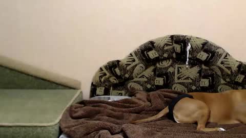 Taya online show from December 2025 07:30:02 PM