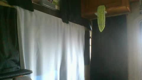 Snapshot of taylafox chatting on February 2025 09:26:02 PM taylafox online show from February 2025 09:26:02 PM