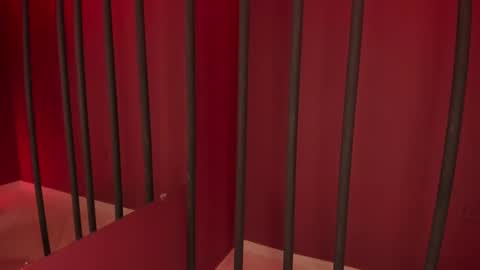 Taylor  online show from December 2024 04:09:02 AM