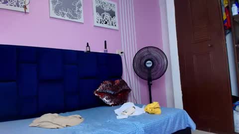 taylor stele online show from May 2026 08:06:01 PM