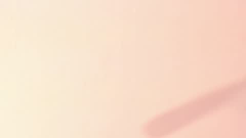 Taylor  online show from January 2025 03:55:01 PM