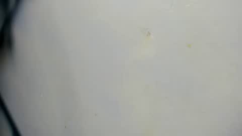 Snapshot of taz_box chatting on June 2026 11:51:02 PM taz_box online show from June 2026 11:51:02 PM