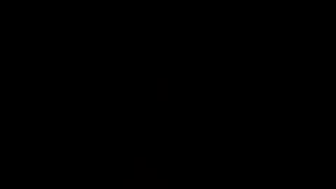 tbonehomer online show from April 2026 04:50:02 AM