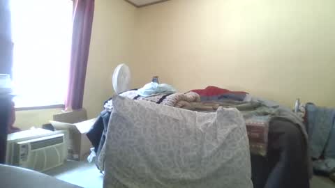 Teak online show from February 2026 04:08:01 PM