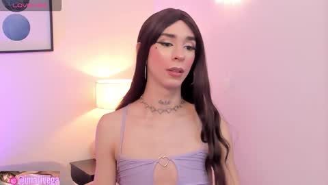 Snapshot of teamvega chatting on September 2025 07:34:01 AM teamvega online show from September 2025 07:34:01 AM