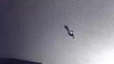 Snapshot of technosex14 chatting on November 2025 03:28:02 AM technosex14 online show from November 2025 03:28:02 AM