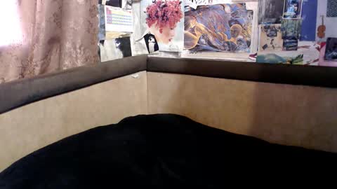 ruth online show from October 2025 02:07:01 PM