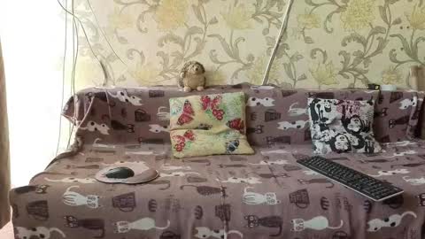 Ada  online show from February 2026 09:59:01 AM