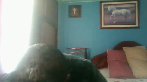 Fabio Canavaro online show from January 2025 04:59:01 PM