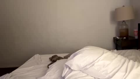 Snapshot of tennman6086 chatting on February 2025 02:43:01 PM Tennman online show from February 2025 02:43:01 PM