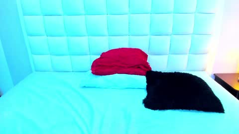 Snapshot of teresasroom_ chatting on January 2025 09:28:01 PM Teresa online show from January 2025 09:28:01 PM