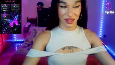 Terra obsession online show from March 2026 06:45:02 PM