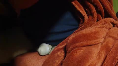 tetuo2 online show from April 2026 08:40:01 AM