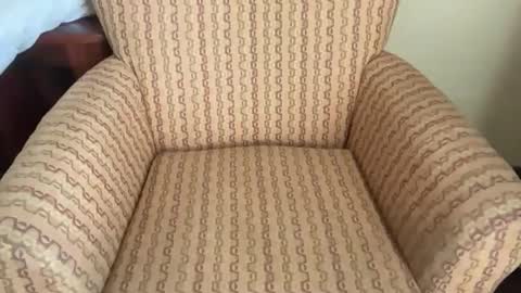 Snapshot of teveron chatting on March 2026 03:05:01 PM Tev online show from March 2026 03:05:01 PM