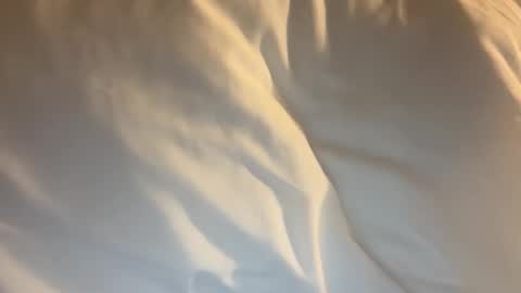 Snapshot of tevvdaren chatting on March 2026 01:47:01 PM tevvdaren online show from March 2026 01:47:01 PM