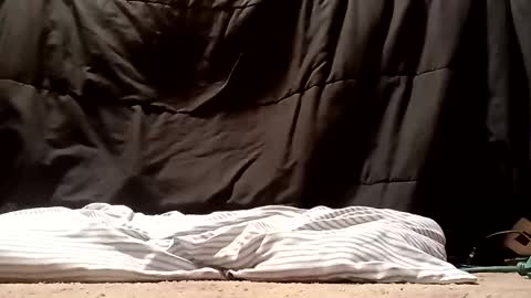 Snapshot of thatb1 chatting on September 2025 05:13:01 AM thatb1 online show from September 2025 05:13:01 AM