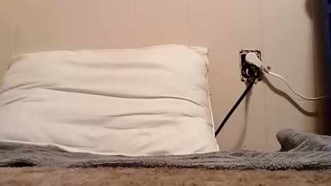 Snapshot of thatb1 chatting on November 2025 01:27:02 AM thatb1 online show from November 2025 01:27:02 AM