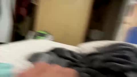 Snapshot of thatguy113377 chatting on September 2025 09:04:02 PM thatguy113377 online show from September 2025 09:04:02 PM