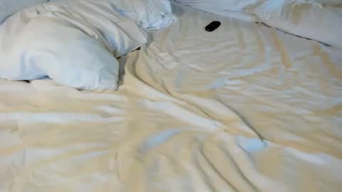 That guy  follow on X online show from February 2026 04:11:02 PM