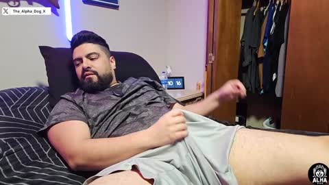 Snapshot of the_alpha_dog_xxx chatting on December 2024 04:14:02 AM the_alpha_dog_xxx online show from December 2024 04:14:02 AM