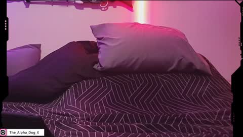 Snapshot of the_alpha_dog_xxx chatting on February 2025 09:17:01 PM the_alpha_dog_xxx online show from February 2025 09:17:01 PM