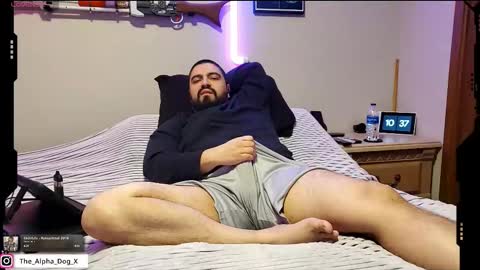 the_alpha_dog_xxx online show from February 2026 04:37:02 PM