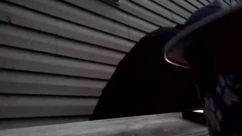 the_invincible_1 online show from November 2025 11:45:01 AM