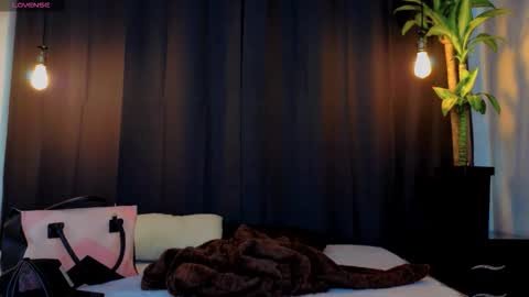 Snapshot of the_prince_sam chatting on November 2025 12:28:01 PM the_prince_sam online show from November 2025 12:28:01 PM