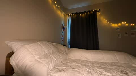 Snapshot of thearte1 chatting on April 2026 04:54:02 AM J online show from April 2026 04:54:02 AM