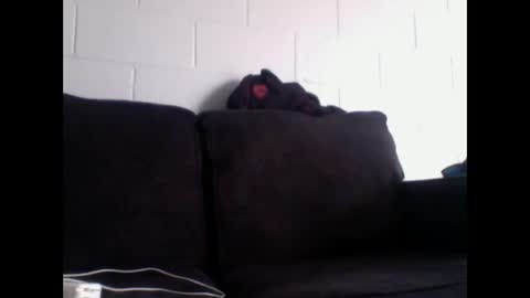 thee304slayer online show from December 2025 11:10:02 PM