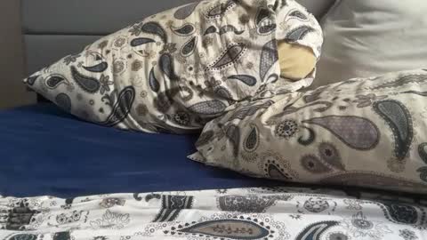 Snapshot of theeshooterr chatting on December 2024 06:22:01 PM theeshooterr online show from December 2024 06:22:01 PM